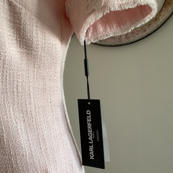 Karl Lagerfeld  "A Line Dress"   - Pretty in Pink for Easter, and SPRING!  sz 4. - Picture 2 of 11